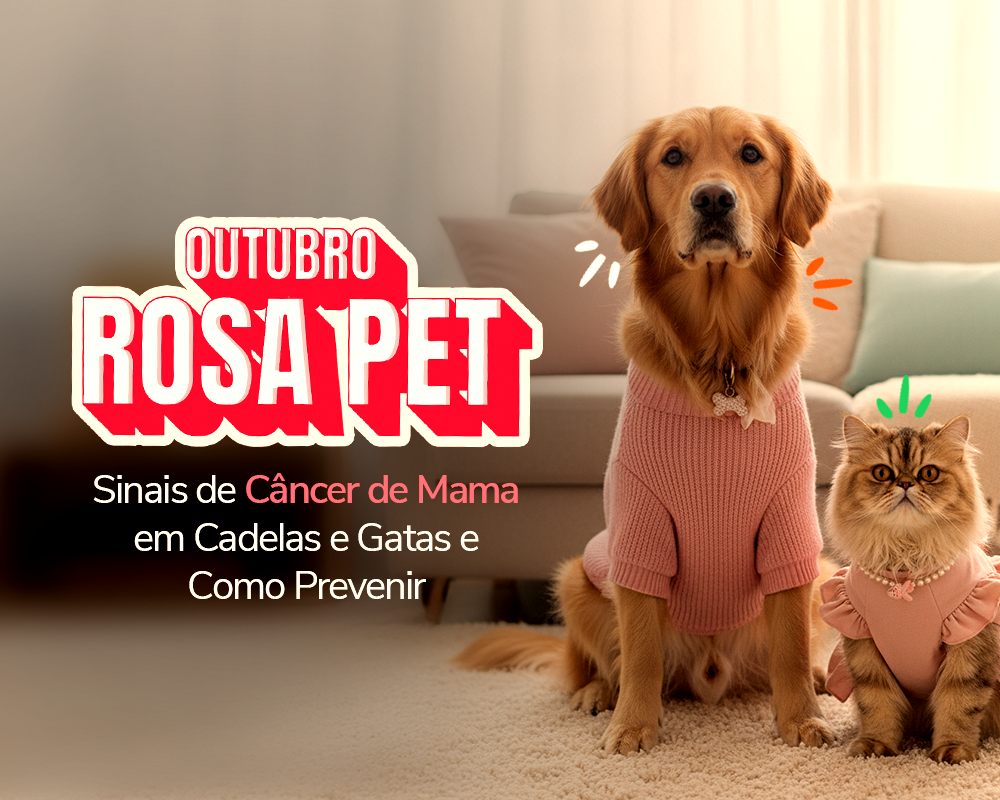 Sinais de Câncer de Mama em Cadelas e Gatas e Como Prevenir