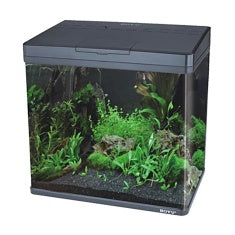 Aquário Boyu Curvo EC-400 33L para Peixes Ornamentais