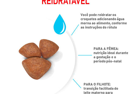 Ração Seca Royal Canin Mini Star para Cachorros de Porte Pequeno