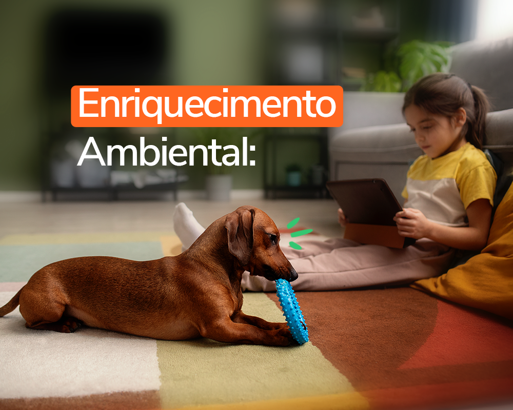 Enriquecimento Ambiental: Os Melhores Brinquedos para Cães e Gatos (Pets Indoor)