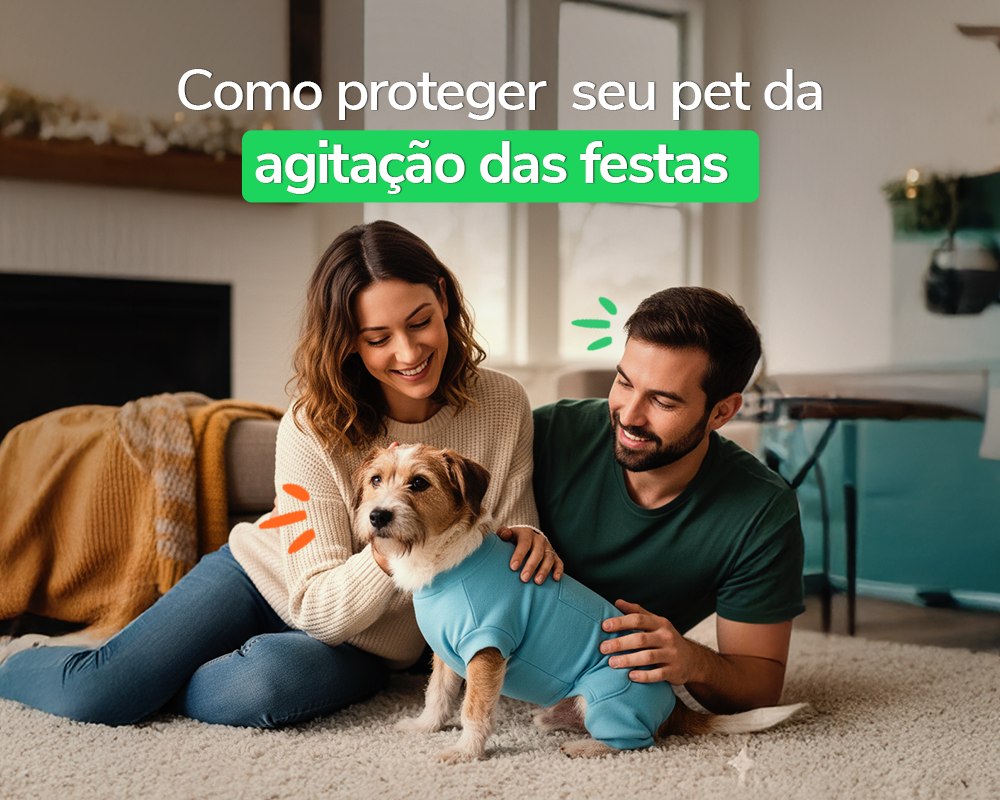 Checklist de Tranquilidade para o Fim de Ano do Seu Pet