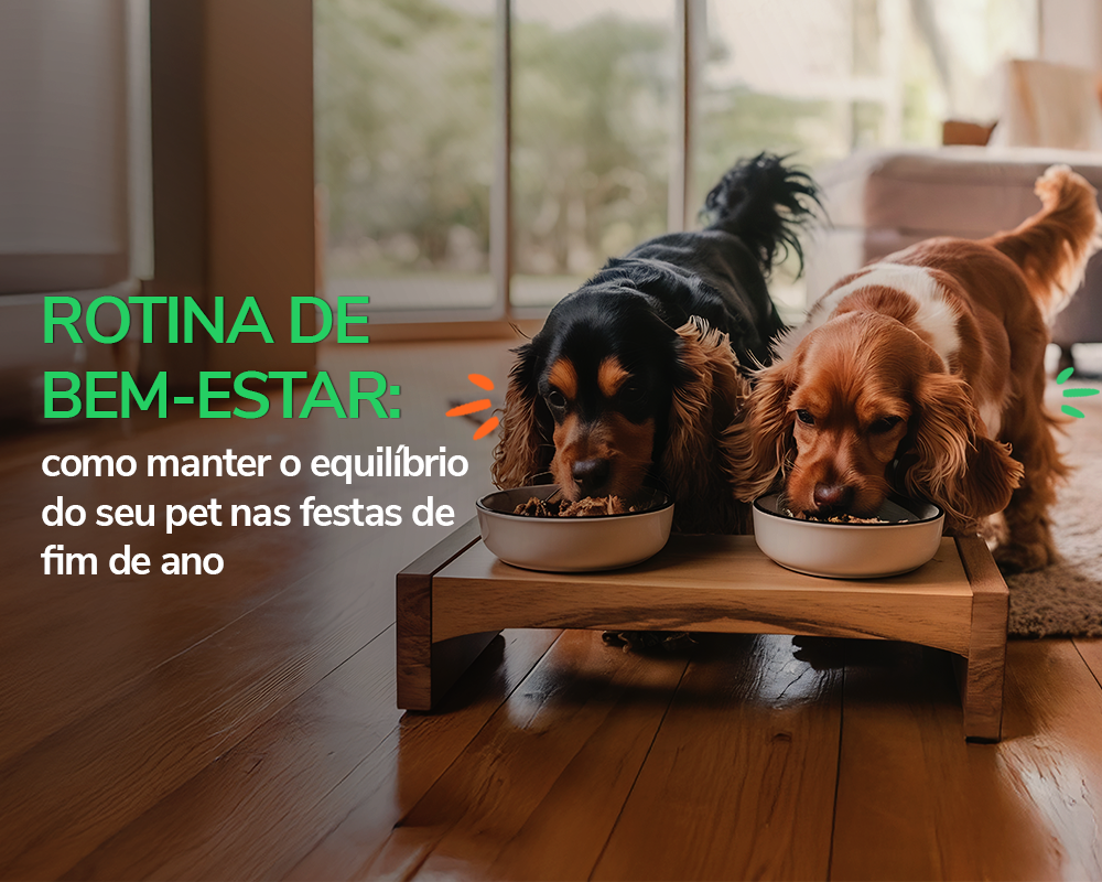 Natal Pet: 5 cuidados para um fim de ano tranquilo e seguro