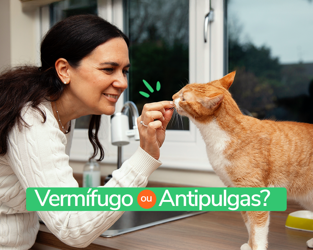 Vermífugo ou Antipulgas? Saiba Como Prevenir e Manter Seu Pet Livre de Parasitas