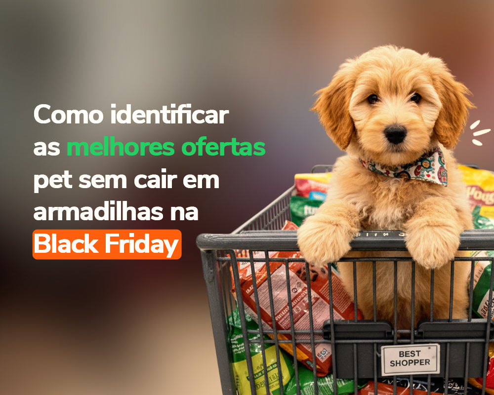 Cães felizes, tutores conscientes