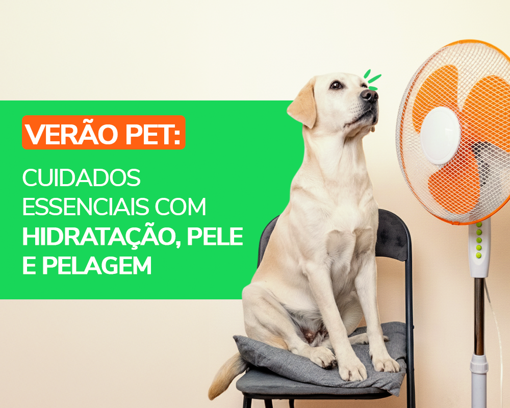 Verão Pet: Cuidados Essenciais com Hidratação, Pele e Pelagem para um Verão Seguro