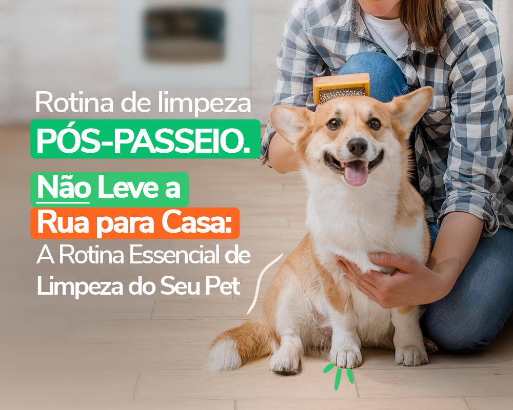 Não Leve a Rua para Casa: A Rotina Essencial de Limpeza do Seu Pet
