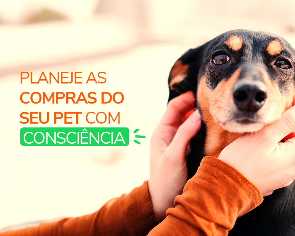Como planejar as compras do seu pet de forma consciente e econômica neste fim de ano