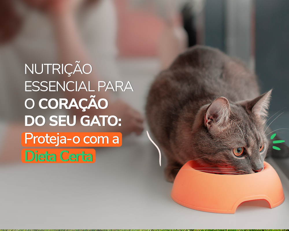Nutrição Essencial para o Coração do Seu Gato: Proteja-o com a Dieta Certa