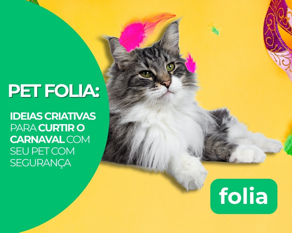 Pet-Folia em Casa: Ideias criativas para curtir o Carnaval com seu pet com segurança