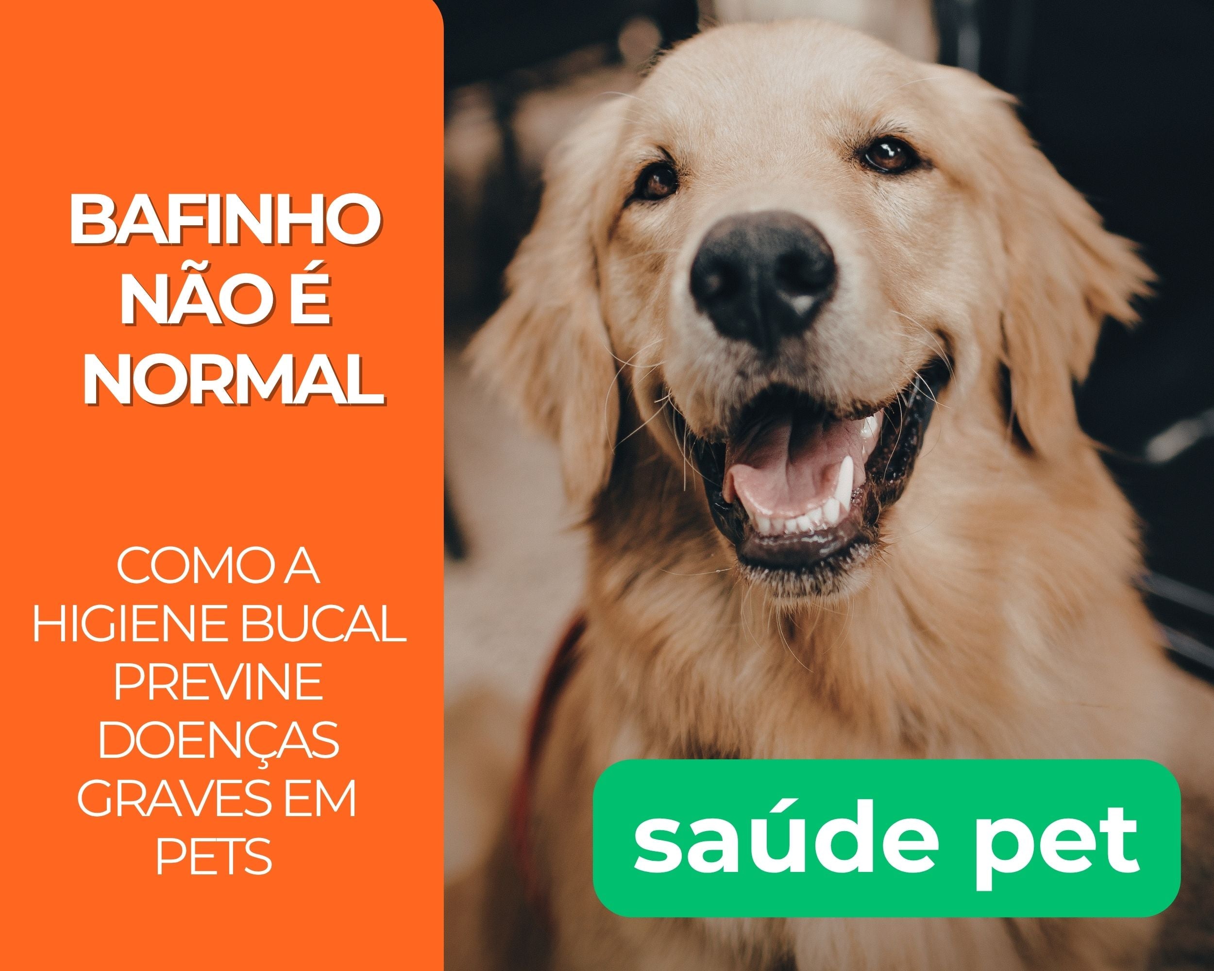 Bafinho não é normal: Como a higiene bucal previne doenças graves em pets
