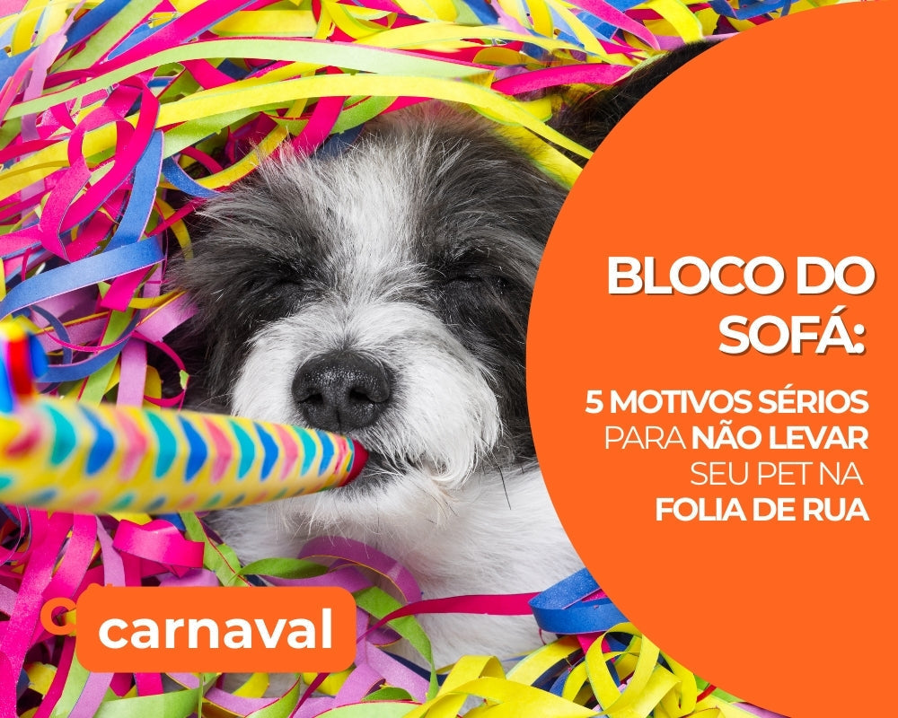 Bloco do Sofá: 5 motivos sérios para NÃO levar seu pet para a folia de rua