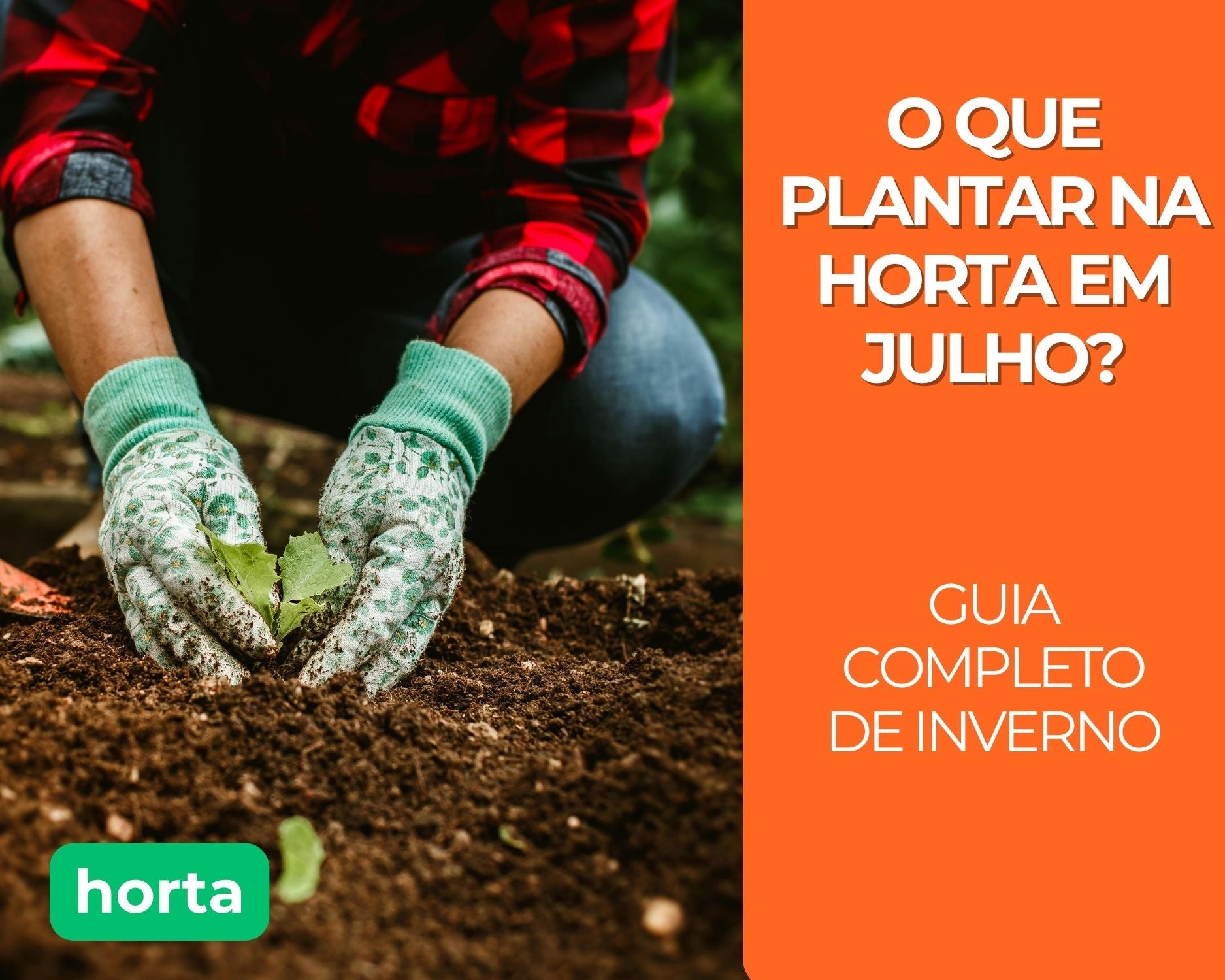 O Que Plantar na Horta em Julho? Guia Completo de Inverno