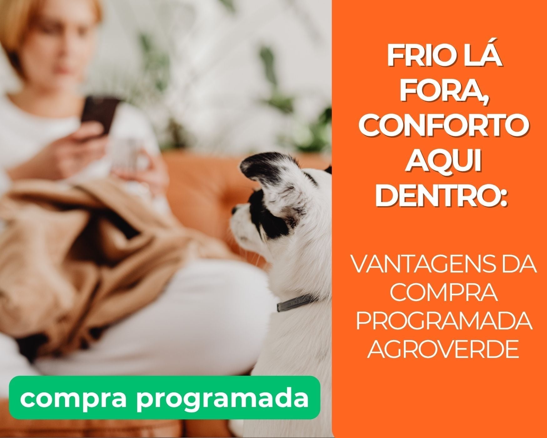 Inverno: época de mais conforto e planejamento