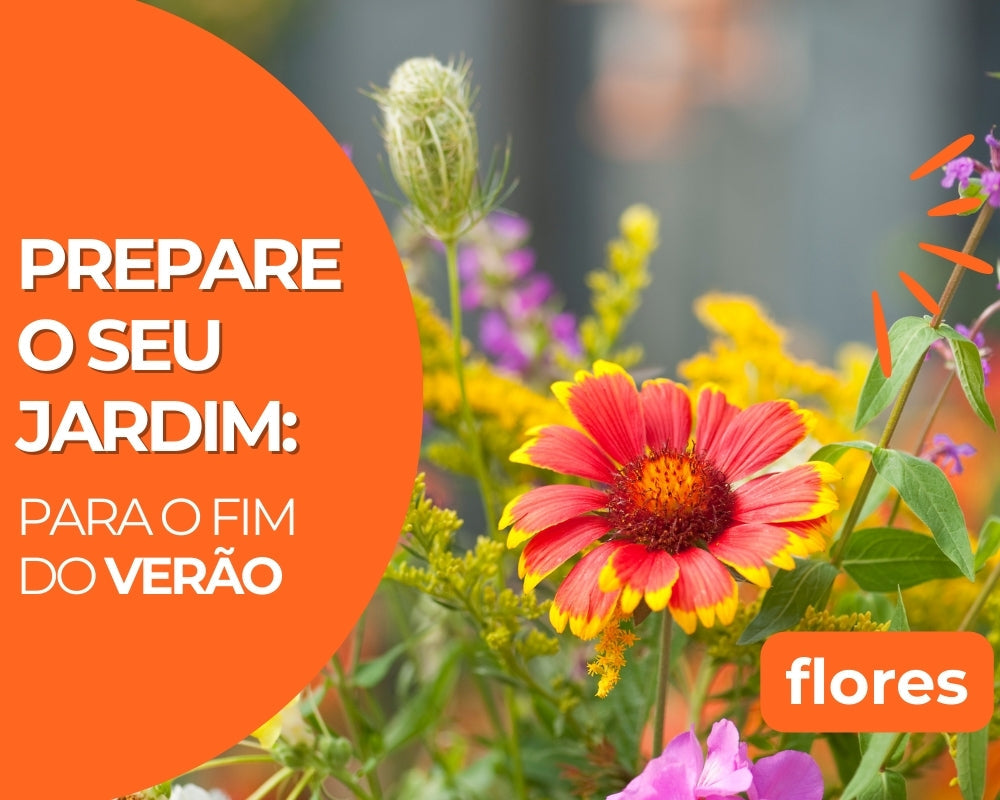 Prepare o seu Jardim para o Fim do Verão