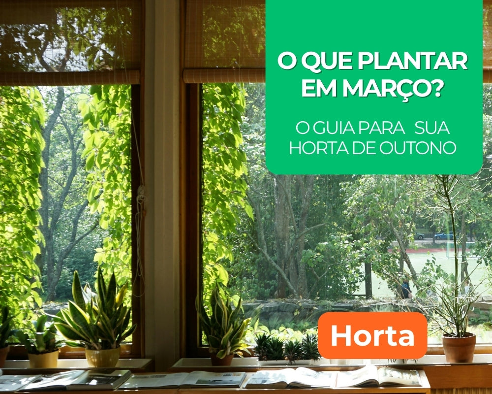O que plantar em março? O guia para sua horta de outono