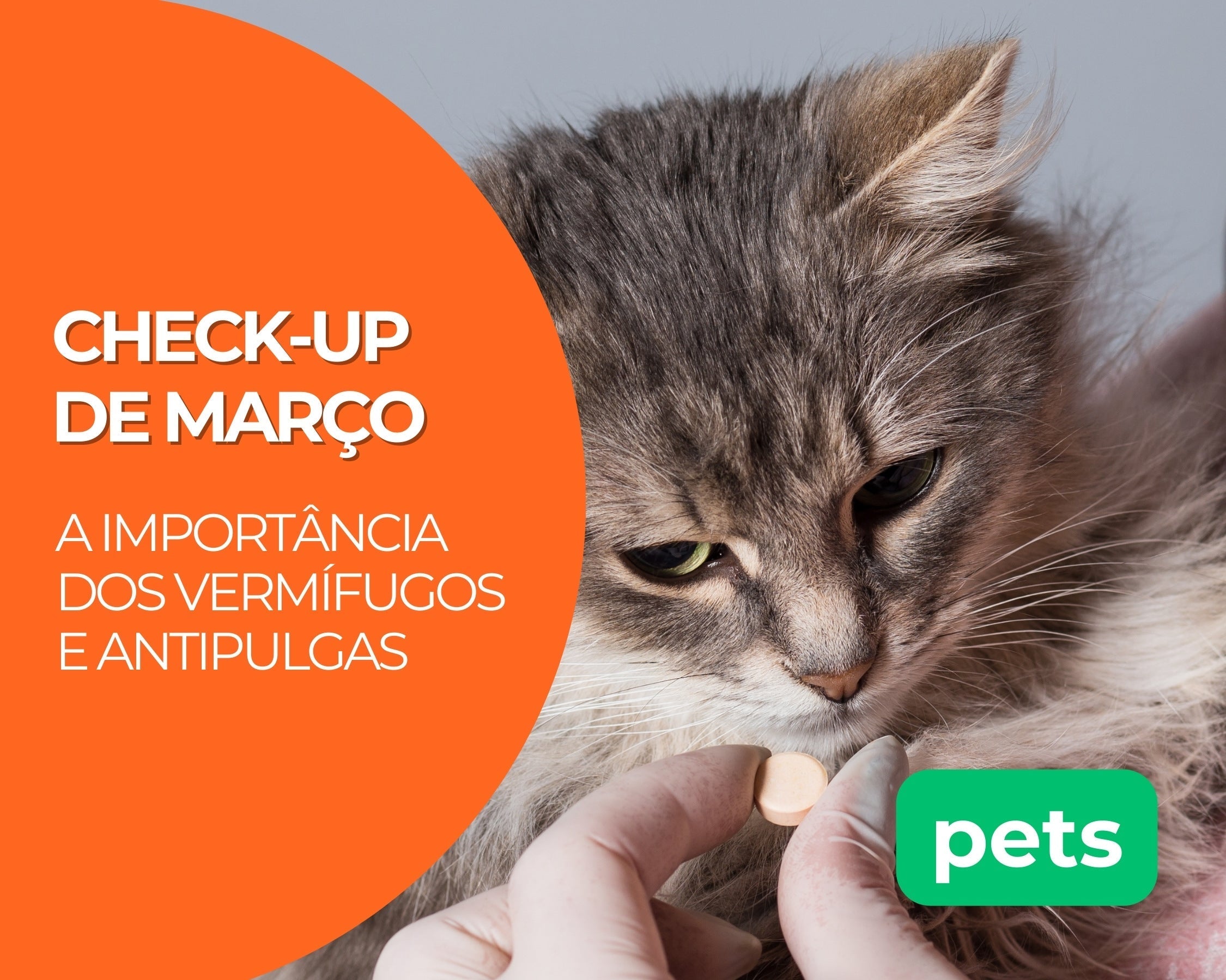 Check-up de Março: A importância dos vermífugos e antipulgas