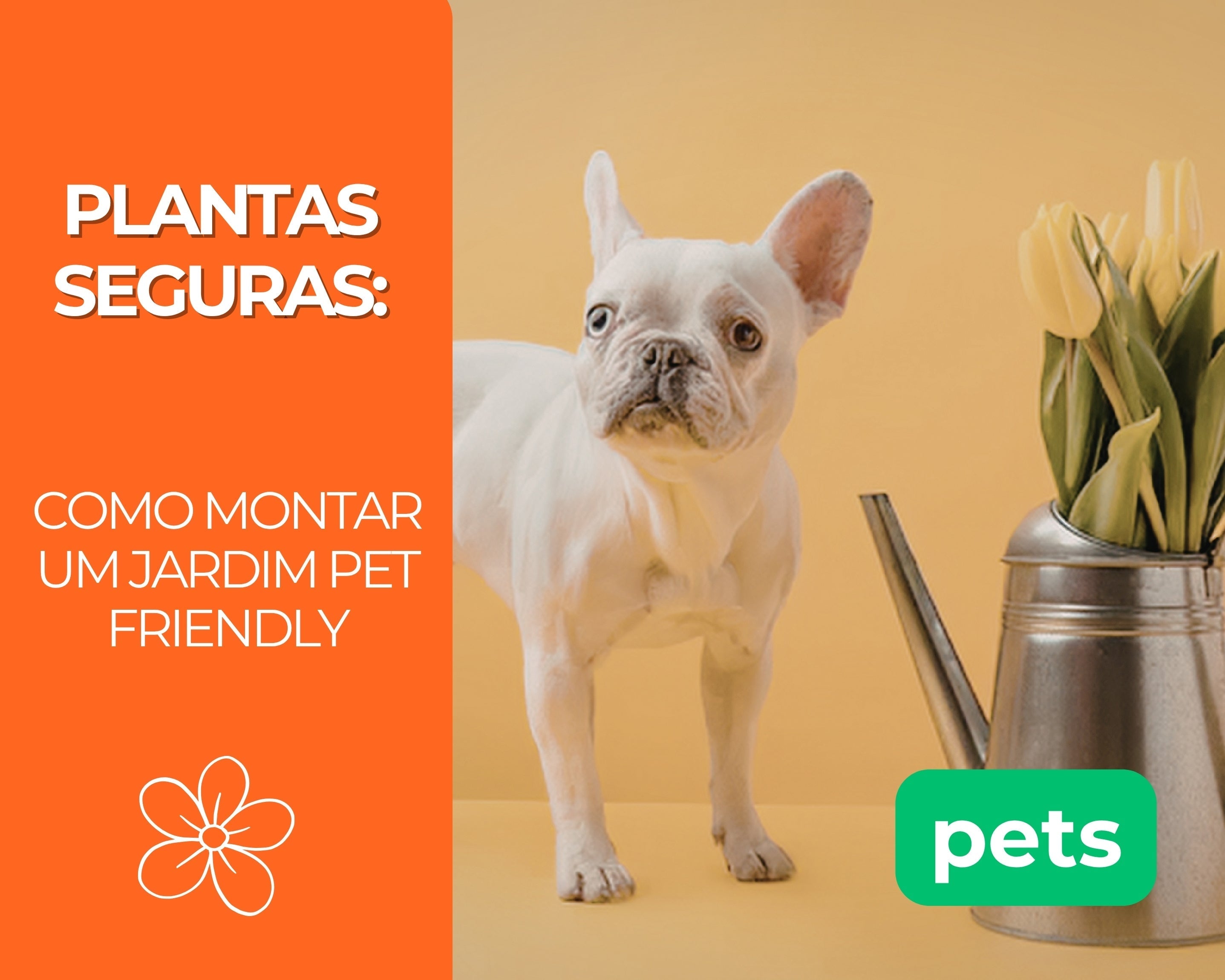 Plantas Seguras: Como montar um Jardim Pet Friendly