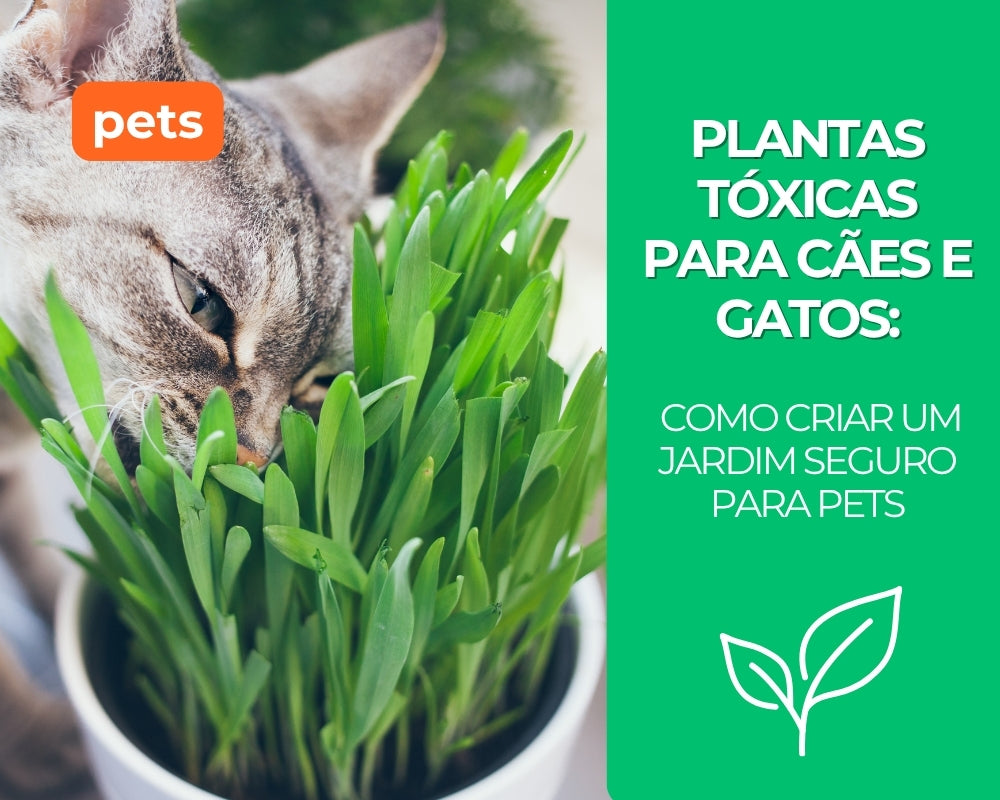 Plantas tóxicas para cães e gatos: como criar um jardim seguro para pets