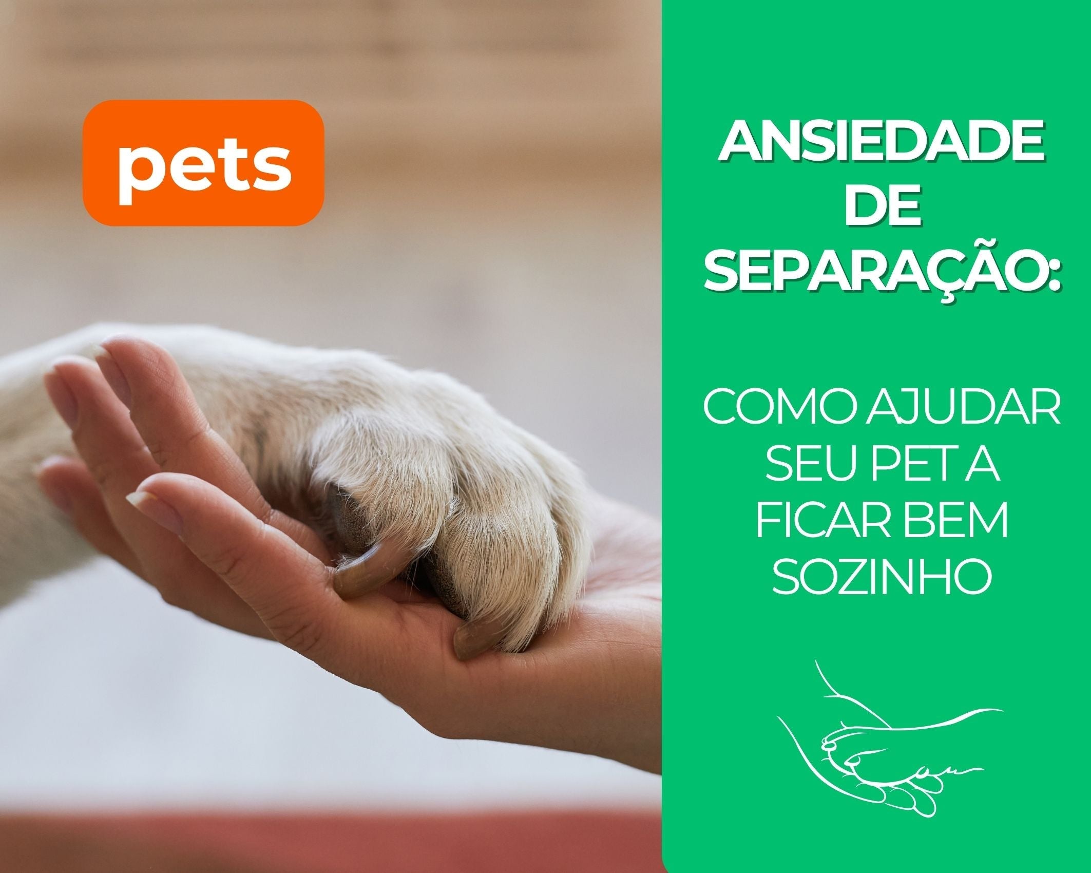 Ansiedade de separação: Como ajudar seu pet a ficar bem sozinho