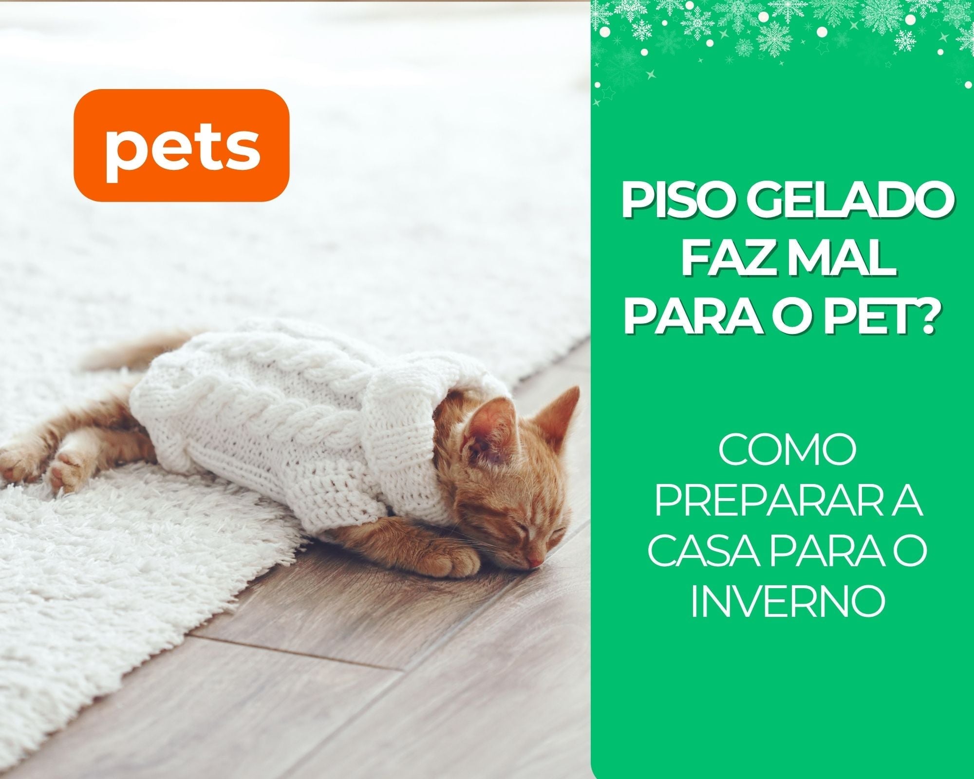 Piso Gelado Faz Mal para o Pet? Como Preparar a Casa para o Inverno