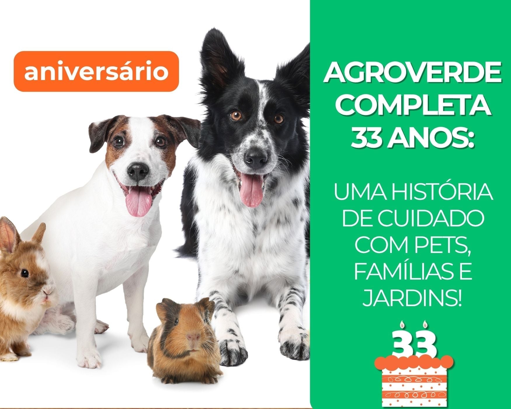 Agroverde completa 33 anos: uma história de cuidado com pets, famílias e jardins