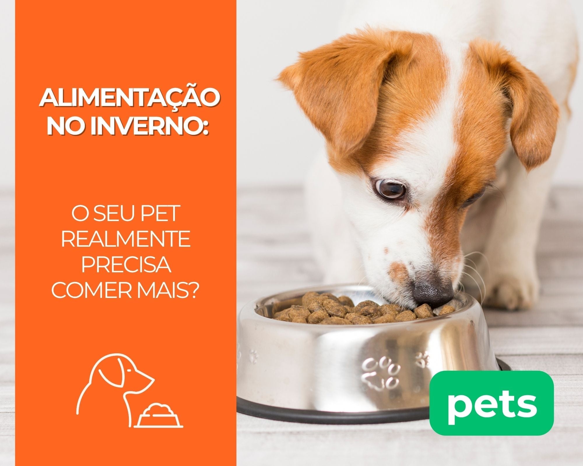 Alimentação no Inverno: O Seu Pet Realmente Precisa Comer Mais?