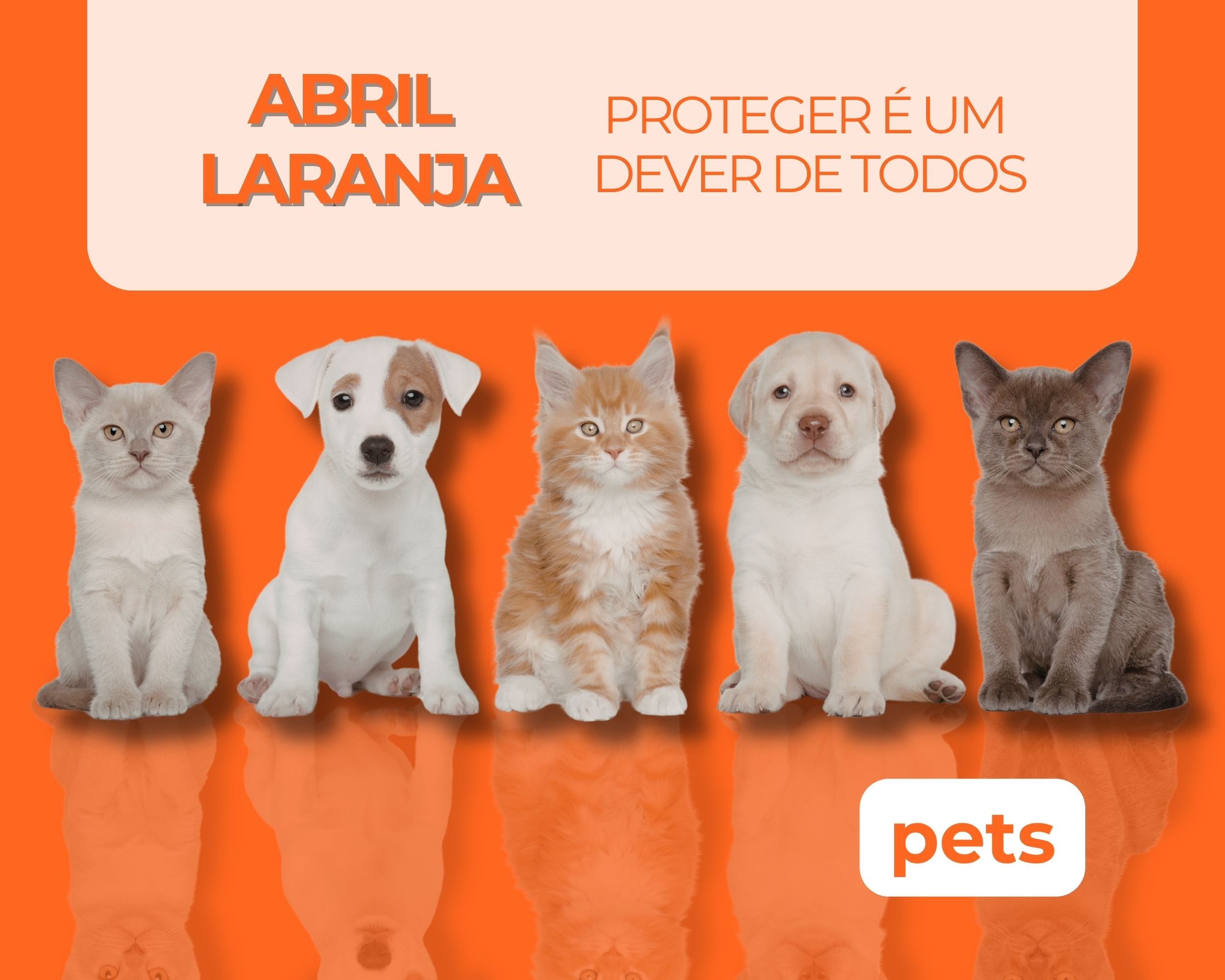 Abril Laranja: Entenda a importância da conscientização contra maus-tratos