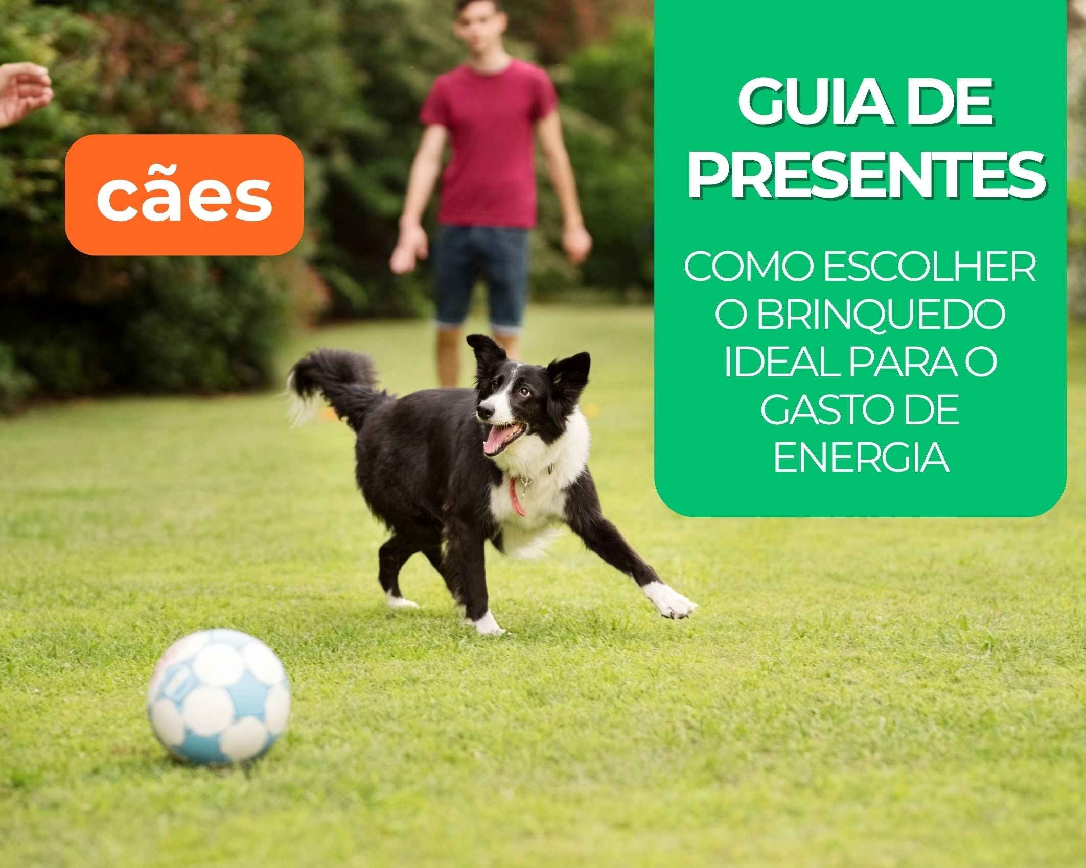 Guia de Presentes: Como Escolher o Brinquedo Ideal para o Gasto de Energia