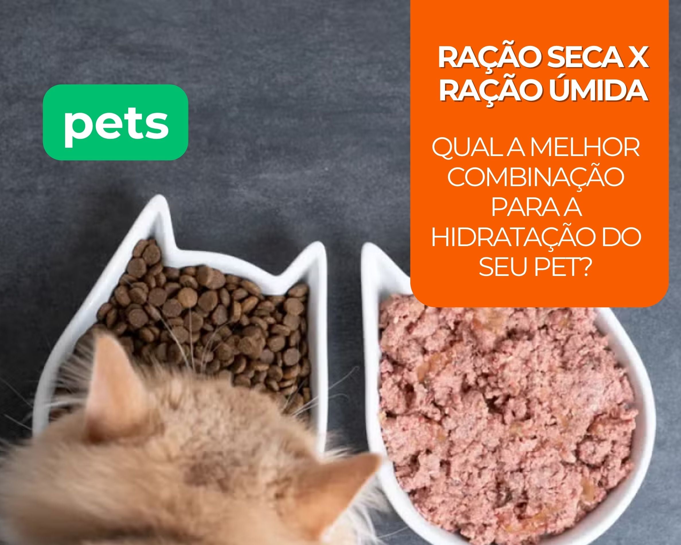 Ração Seca vs. Úmida: Qual a Melhor Combinação para a Hidratação do Seu Pet?