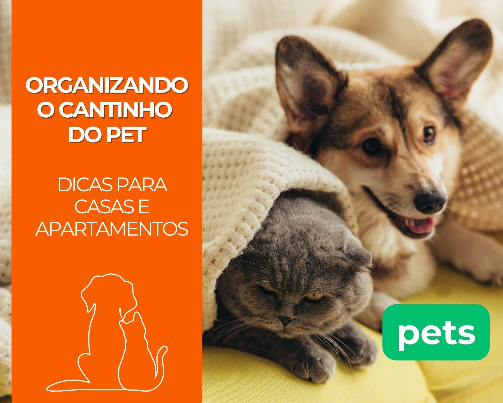 Organizando o cantinho do pet: Dicas para casas e apartamentos