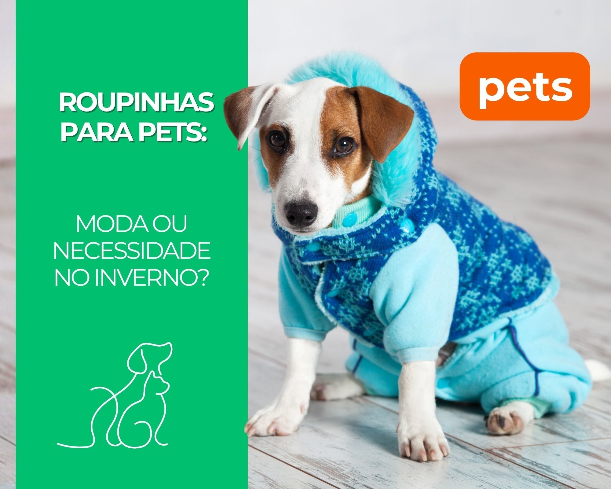 Roupinhas para Pets: Moda ou Necessidade no Inverno?