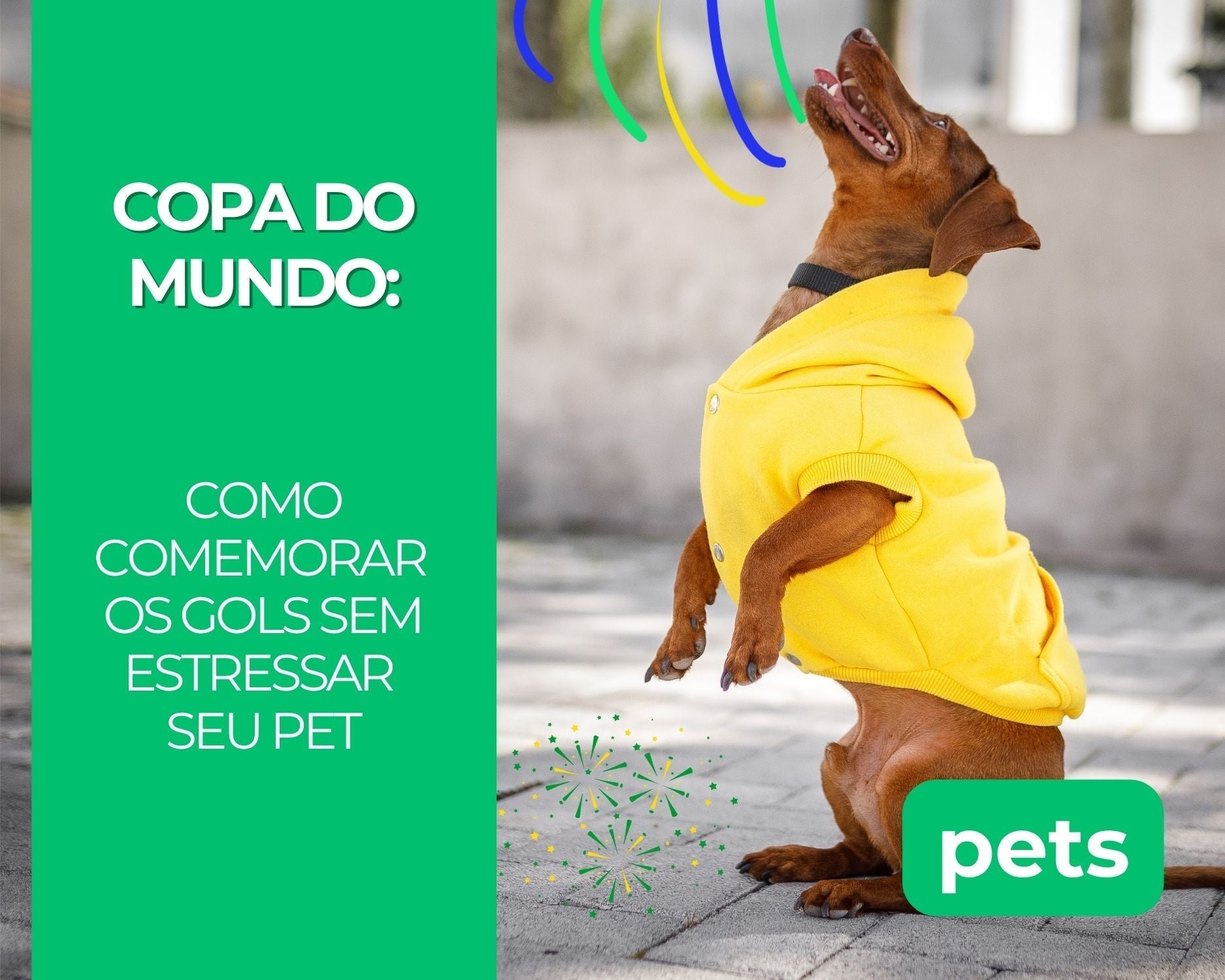 Copa do Mundo: Como comemorar os gols sem estressar seu pet