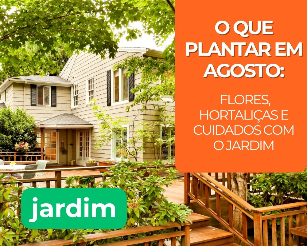 O que plantar em agosto: flores, hortaliças e cuidados com o jardim