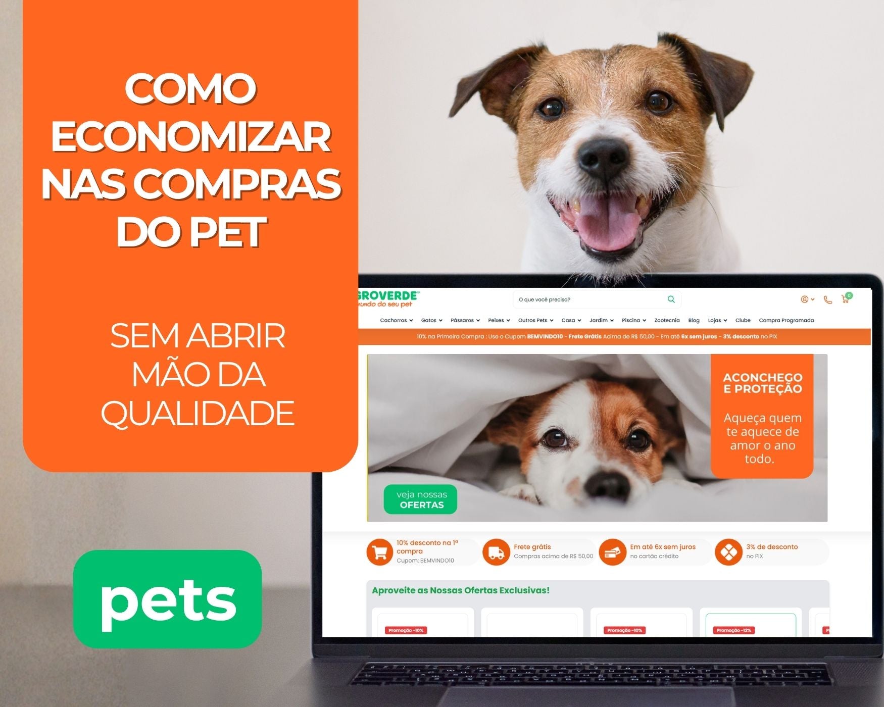Como economizar nas compras do pet sem abrir mão da qualidade