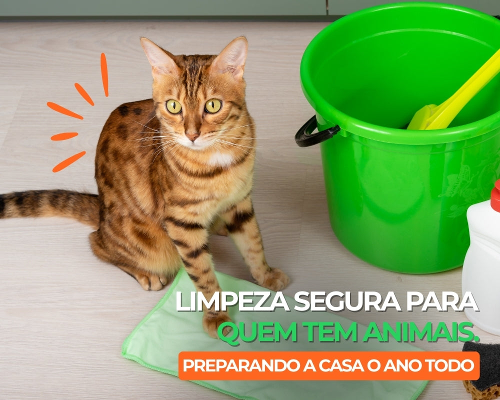 Preparando a casa para ano todo: Limpeza segura para quem tem animais