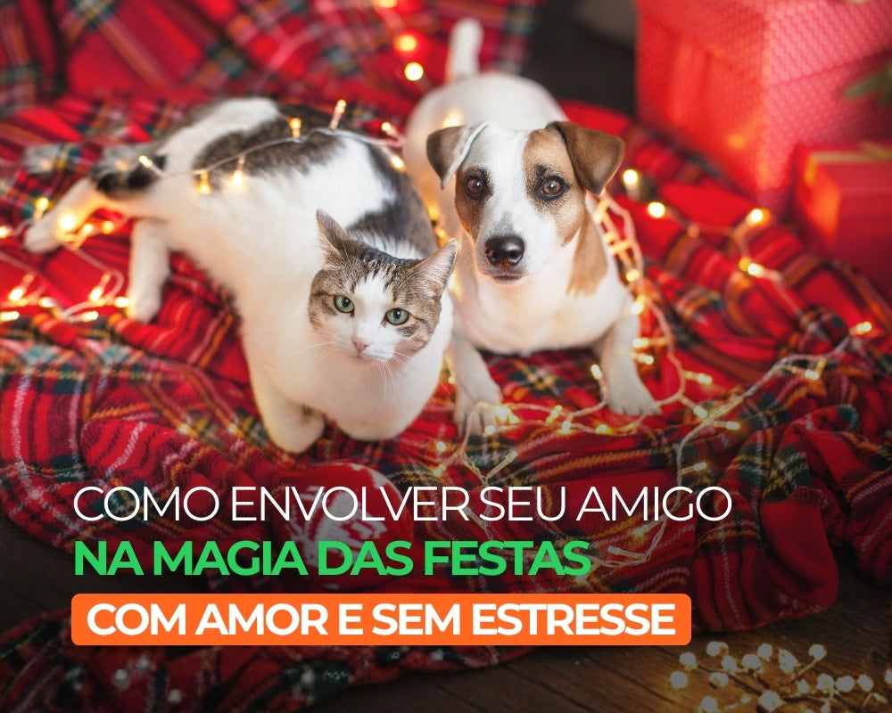 Como envolver seu amigo na magia das festas (com amor e sem estresse)