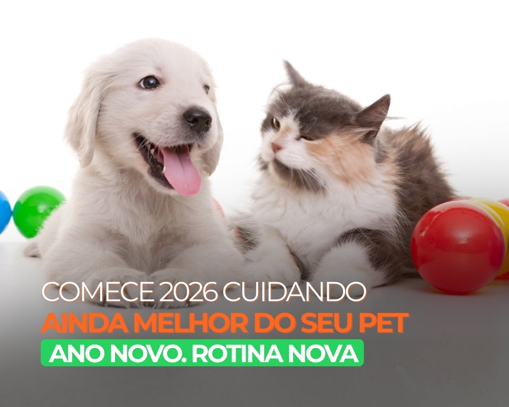 Ano Novo, Rotina Nova: Como começar 2026 cuidando ainda melhor do seu pet