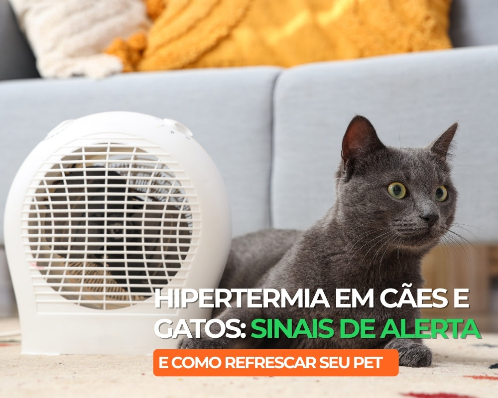 Hipertermia em Cães e Gatos: Sinais de alerta e como refrescar seu pet