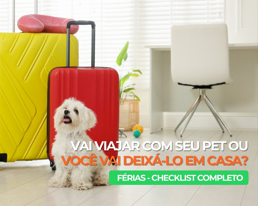 Vai viajar com o pet ou deixá-lo em casa? O checklist completo para as férias