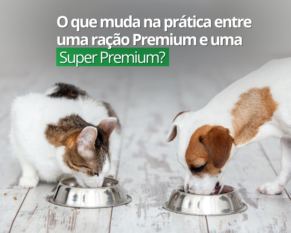 Ração Standard, Premium ou Super Premium? Entenda a Diferença e Invista Certo na Saúde do seu Pet