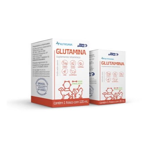 Suplemento Inove Nutrisana Glutamina 20ml para Cães e Gatos