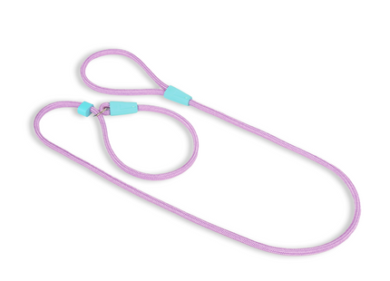 Conjunto Guia Unificada Toh