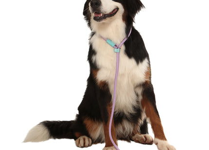 Conjunto Guia Unificada Toh