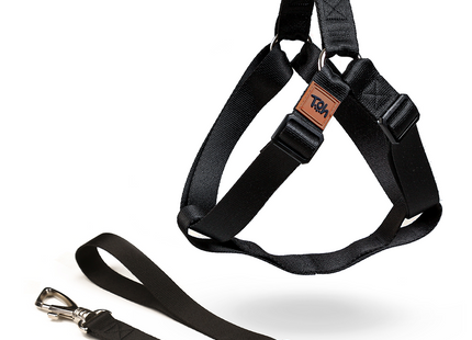 Conjunto Peitoral Step In e Guia Toh