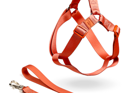 Conjunto Peitoral Step In e Guia Toh