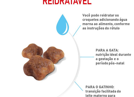 Royal Canin Mother & Babycat – Ração Completa para Gatas Gestantes/Lactantes e Gatinhos