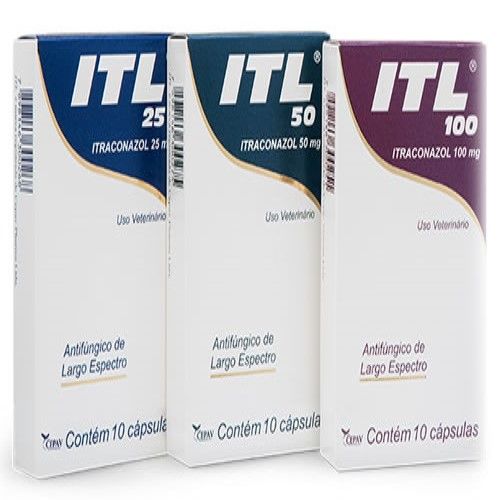 Antibiótico Itl 100mg para Cães e Gatos