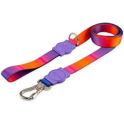 Guia Premium Padang Dog Trip Brasil – Tamanho G
