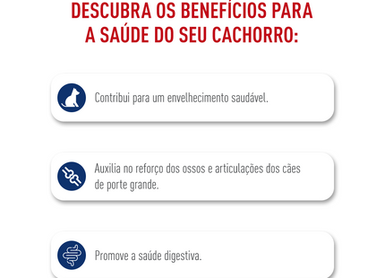Royal Canin Maxi Ageing 8+ – Ração para Cães de Raça Grande