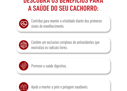 Royal Canin Medium Adult 7+ – Ração para Cães de Porte Médio